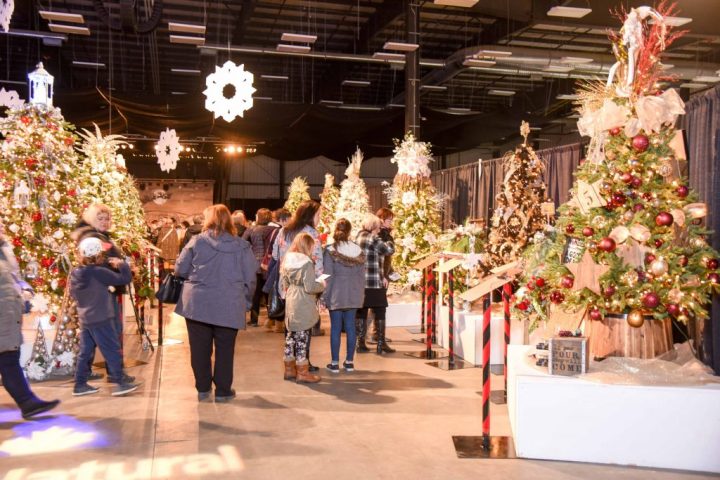 the holiday season - people looking through festival of trees