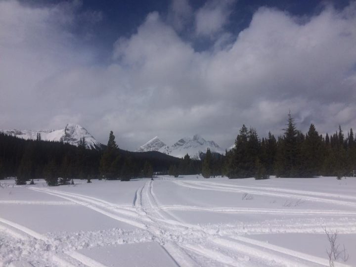 open meadow of kakwa area