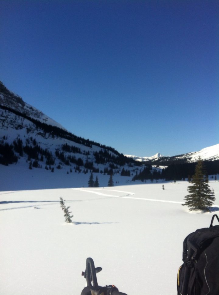 snowmobiling in kakwa area