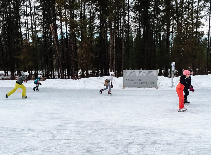 Tara Energy Services Community Outdoor Rink pictured with people skating and trees in the background.