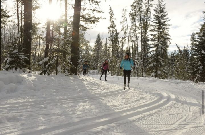 three people cross country skiing - cross-country skiing and snowshoeing blog