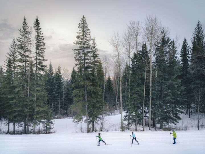 three people cross country skiing