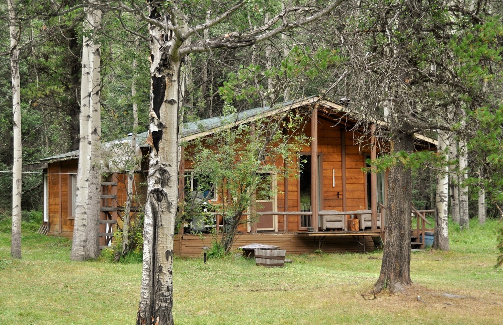 Cabin in the woods surrounded by trees