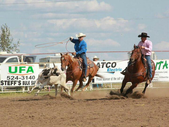 Calf ropers at the VAlleyview Rodeo