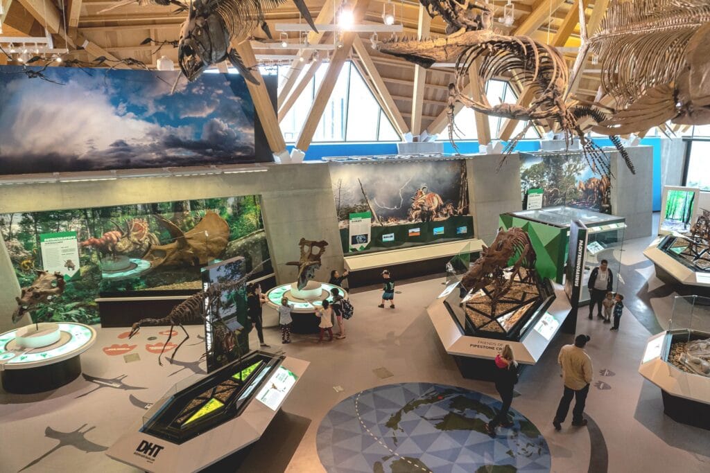 Dinosaur Bones