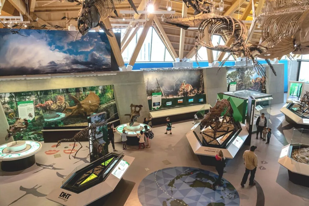 Dinosaur Bones